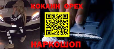 крисы Будённовск