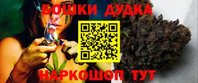 крисы Будённовск