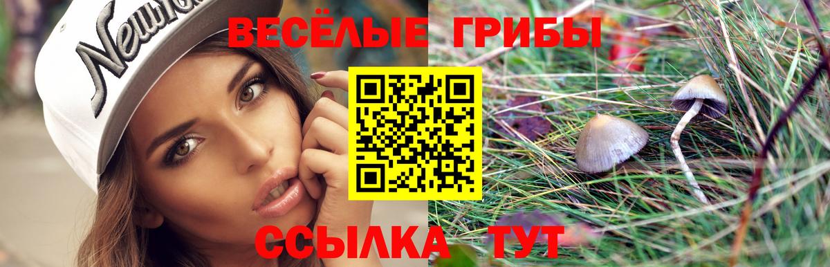 Псилоцибиновые грибы прущие грибы  Вход с VPN  Шарыпово 