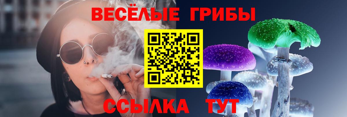 Псилоцибиновые грибы мухоморы Шарыпово